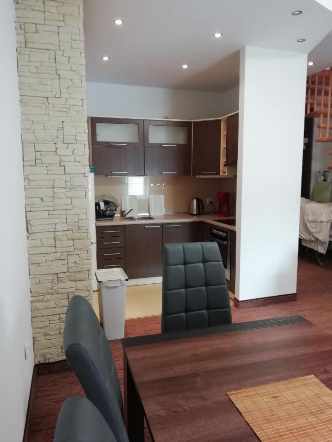 W Centrum Olesna Apartment Olesno